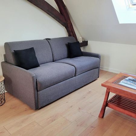 Appartement Au Centre Ville De Sens Zewnętrze zdjęcie